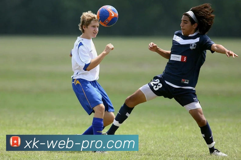 App Interface Preview